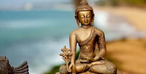 discipline and focus 